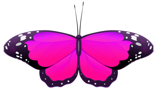 magenta  butterfly clipart