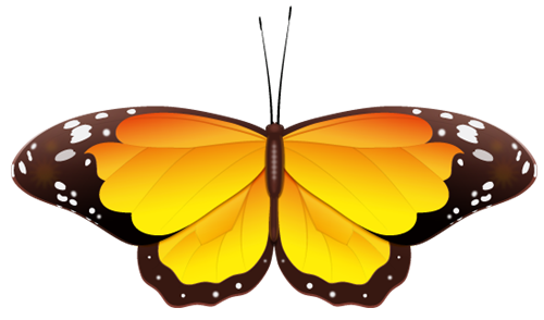 yellow butterfly clip art