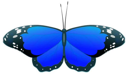 blue  butterfly clipart