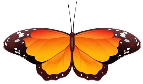 orange  butterfly clip art