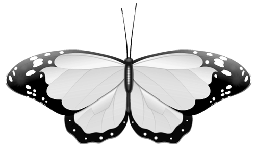 black & white  butterfly clip art