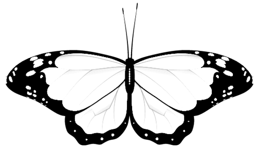 monochrome  butterfly clip-art
