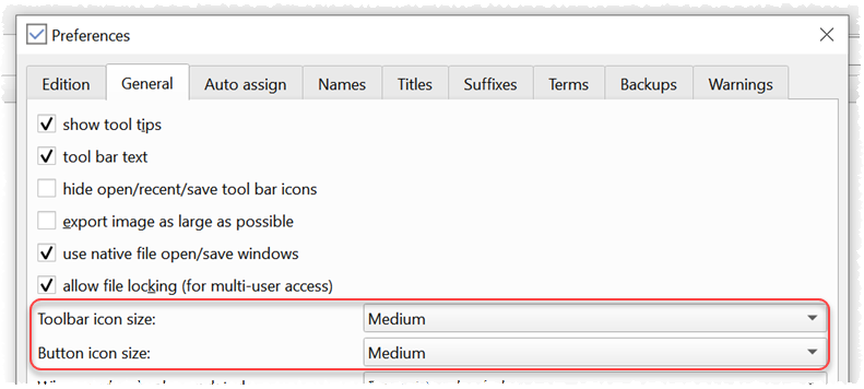 Icon size preferences