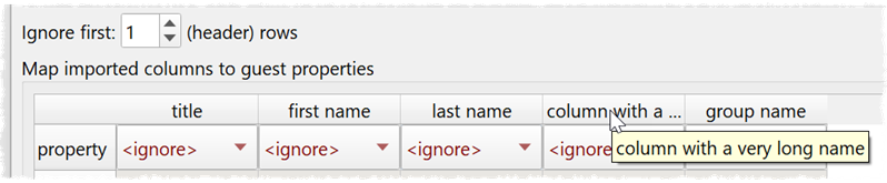 Import column tooltip