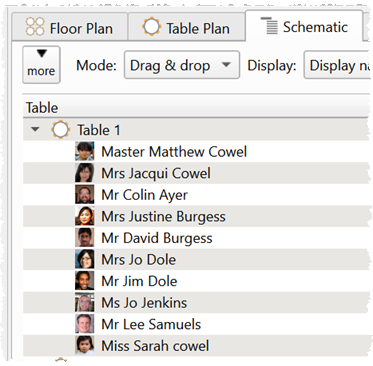 Guest images in the Schematic pane