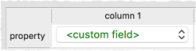 custom fields