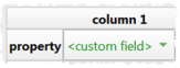 custom fields